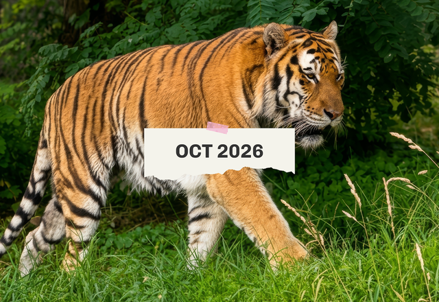 Hunt-For-A-Career Day